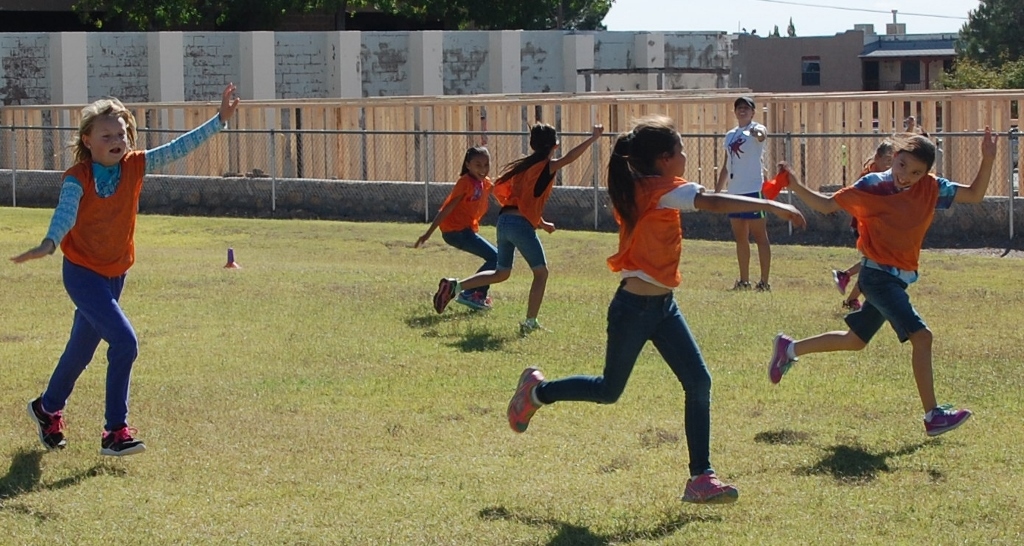 Dsc 0108 (1024x546)
