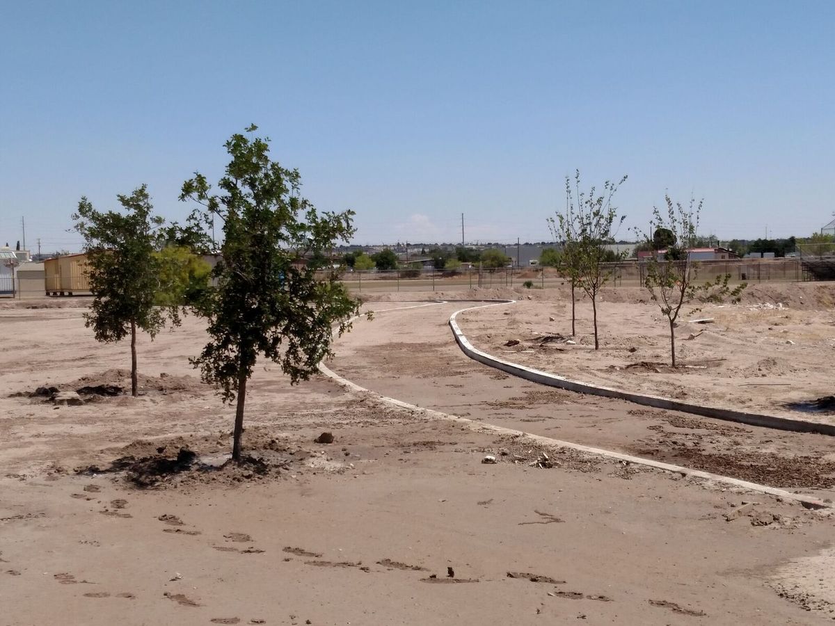 Photo 4 rhs 6-6-18