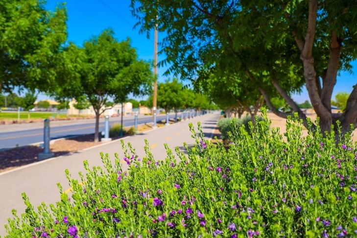Landscape of playa drain trail