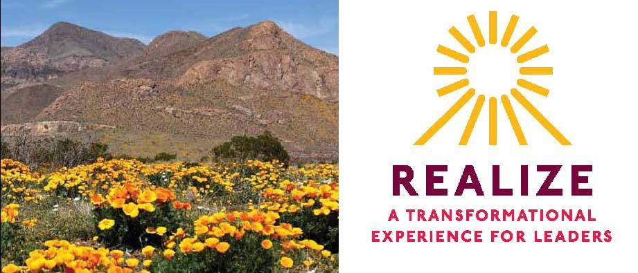  REALIZE Cohort for 2015-16 is announced