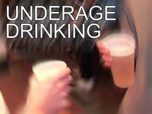 Social Host Ordinance takes effect in Luna County