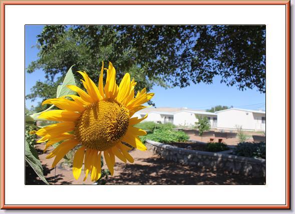 Bowie High School Community Garden featured by Salud America!