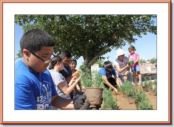 Finding ways to get kids to eat better - Edible Education reaches more students