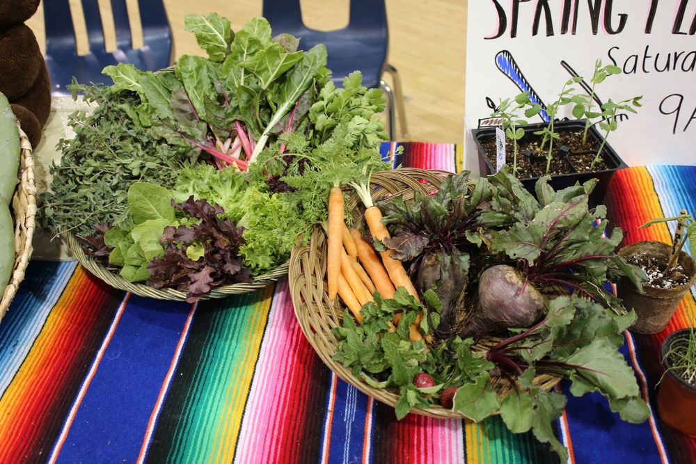 Paso del Norte Community Foundation: Bowie Jardin, Cocina & Mercado Fund