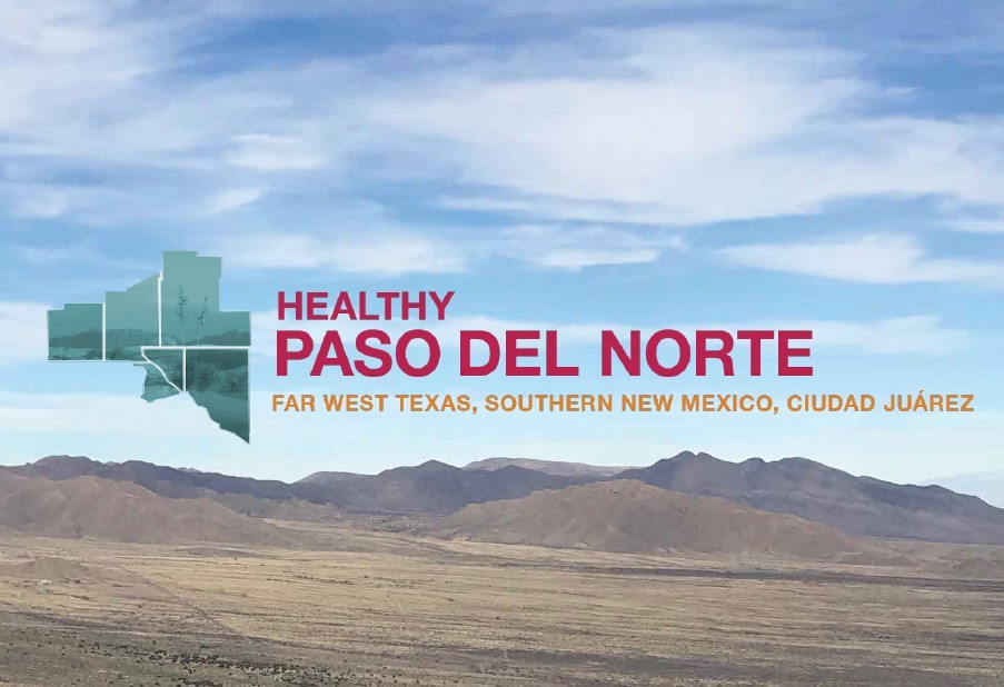 Easy access to regional health data