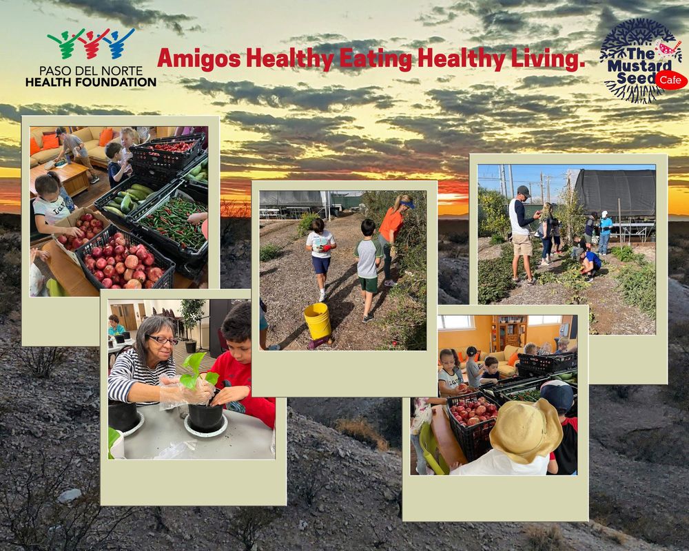Mustard Seed Café Promotes Amigos Healthy Eating and Healthy Living Program