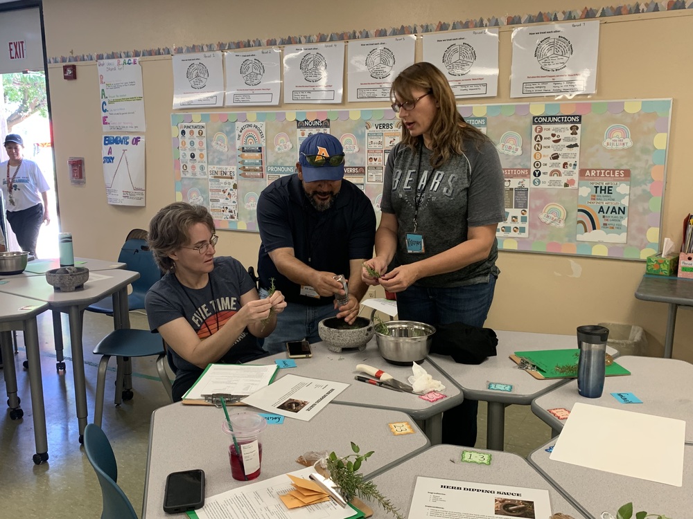 Sharing with teachers how to cultivate a school garden 