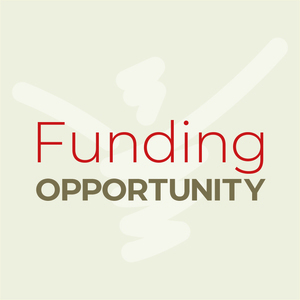 Funding opportunity under Diabetes Initiative