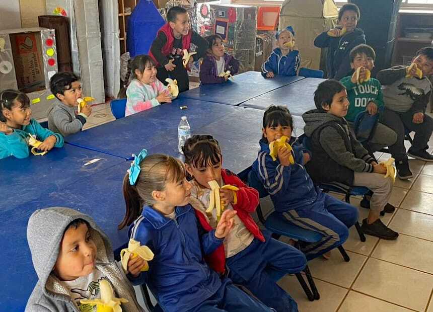 Developing healthy eating habits for students and their families in Palomas, Mexico