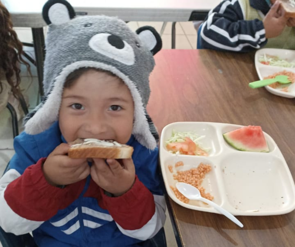 Making Healthy Choices Through Platos Amigables