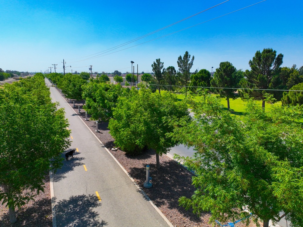 Join us for three events on the Paso del Norte Trail
