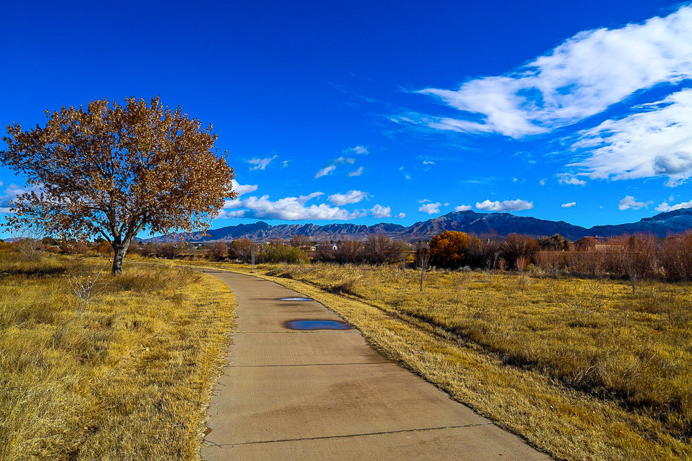 Find Your Path This Fall on the Paso del Norte Trail